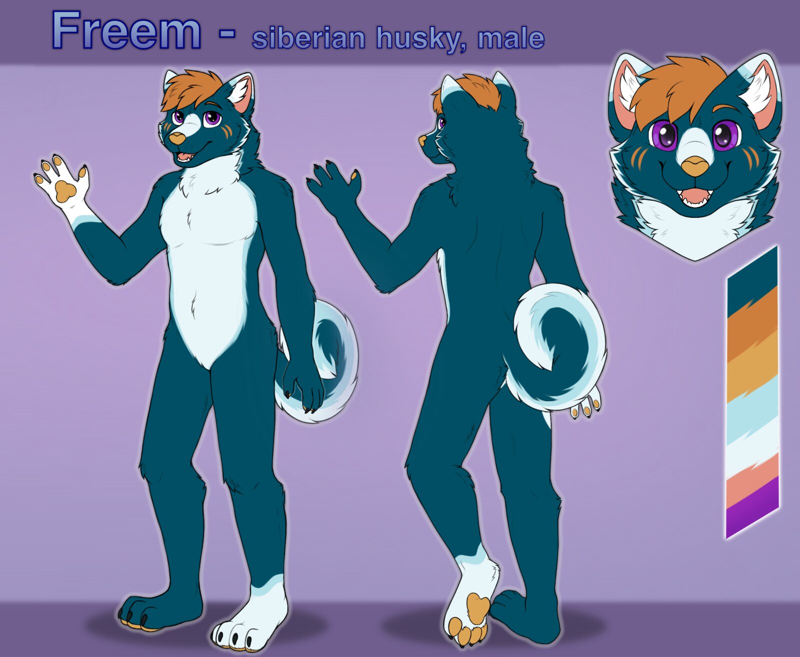 Freem's reference sheet: Siberian husky, male. Front and back views, headshot and colour palette